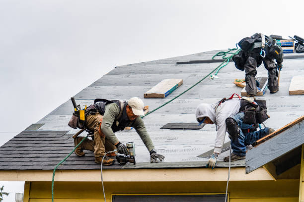 Professional Gutter Installation technician working in Newcastle, CA